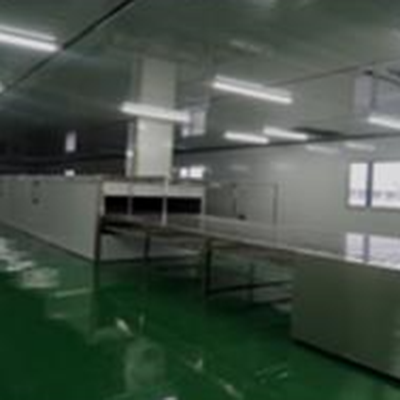 涂装线 Painting line (2)